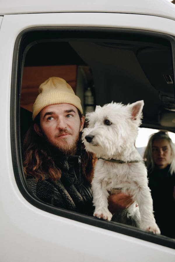 Mutuelle chien : voyagez sereinement avec votre compagnon